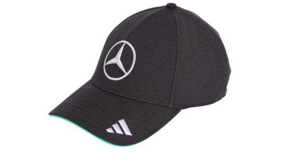 Cepure ar nagu, Team, Mercedes-AMG F1