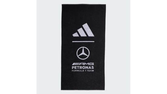 Roku dvielis, Mercedes-AMG F1